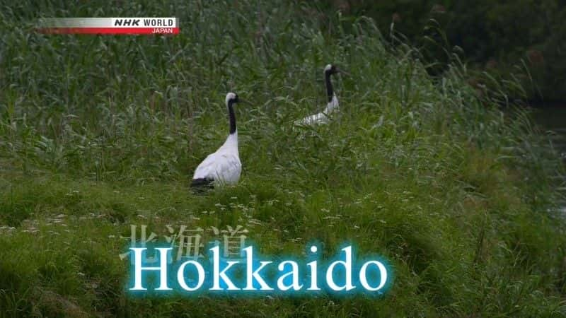 ¼Ƭﳵձޱ߼ Cycle Around Japan: Hokkaido Boundless Horizonsȫ1-Ļ/Ļ