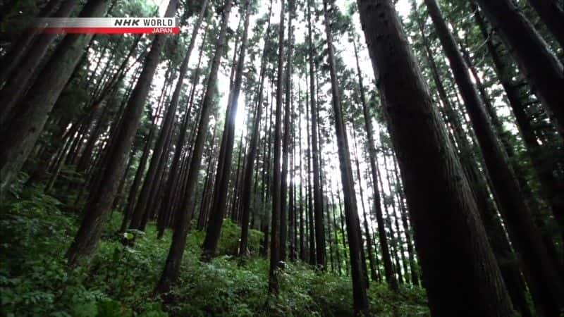 ¼Ƭгձصĺɽ Cycle Around Japan: The Coast and Mountains of Iwateȫ1-Ļ/Ļ