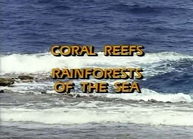 ¼Ƭɺ Coral Reefs: Rainforests of the SeaĻ/Ļ