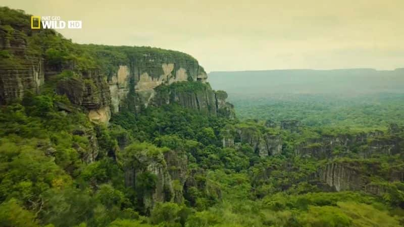 纪录片《野生目的地：哥伦比亚 Destination Wild: Colombia》[无字][BT][720P]资源下载