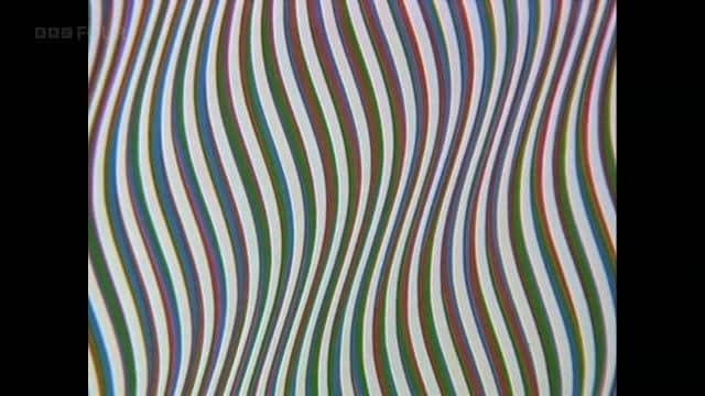 ¼Ƭء Bridget Riley: Painting the Line1080Pȫ1-Ļ/Ļ