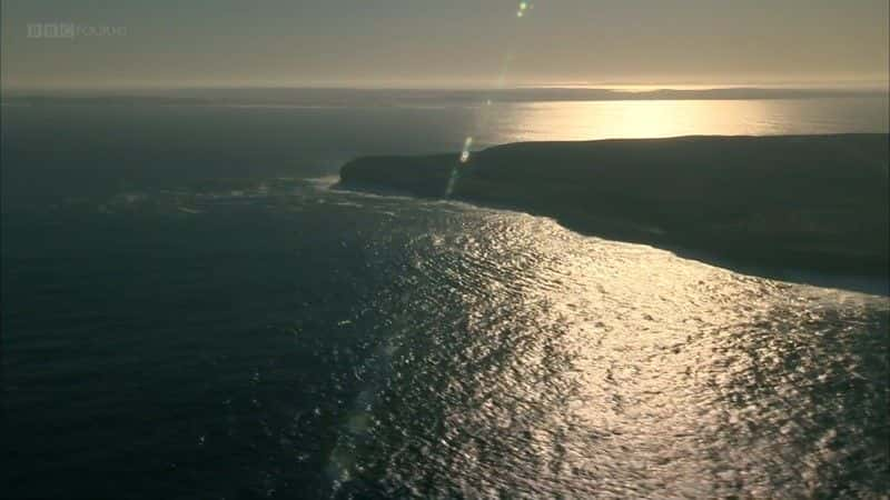 ¼Ƭĺ (BBC 1080p) The Dolphins of Shark Bay (BBC 1080p)1080Pȫ1-Ļ/Ļ