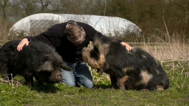 纪录片《英国最聪明的狗 Britain's Cleverest Dog》[无字] [BT][DVD画质]资源下载