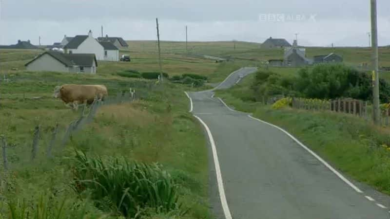 ¼ƬͿ޷ The Corncrake and the CroftĻ/Ļ