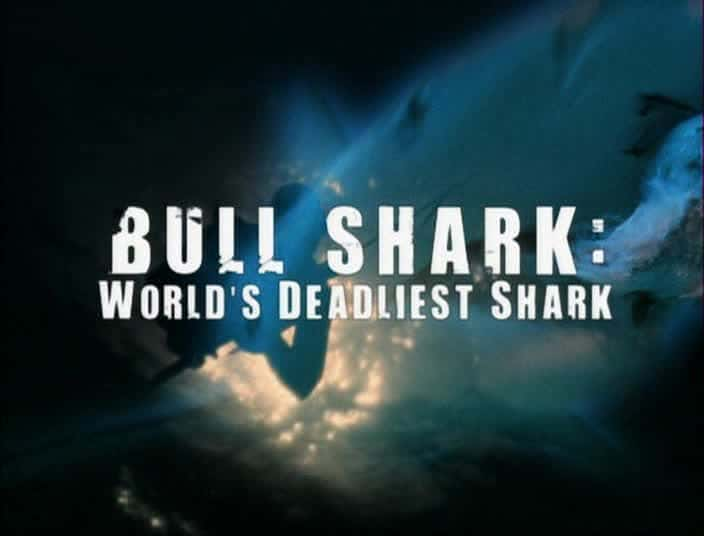 ¼Ƭţ -  Bull Shark - World's Deadliest SharkĻ/Ļ