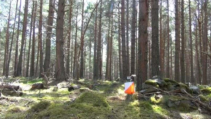 ¼ƬӢ British Orienteering Championships720Pȫ1-Ļ/Ļ