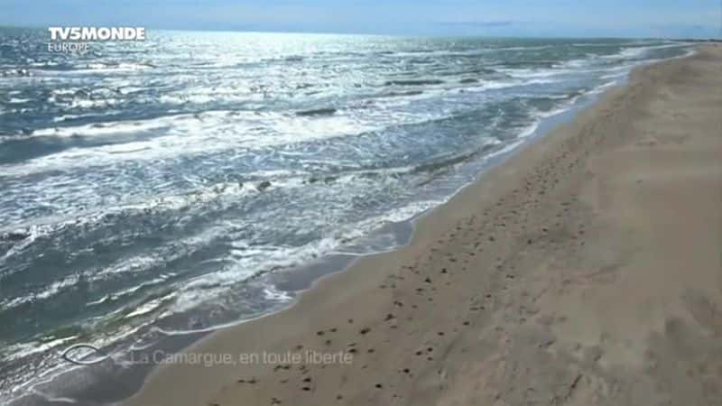 ¼ƬEn Toute Liberte La Camargue: En Toute Liberteȫ1-Ļ/Ļ