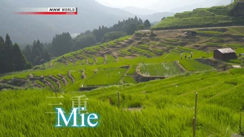 ¼Ƭﳵձ - ֮ Cycle Around Japan: Mie - A Summer Dreamȫ1-Ļ/Ļ