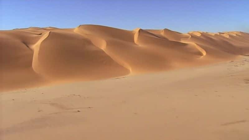 ¼ƬɫɳĮױ The Chameleon Desert: NamibiaĻ/Ļ