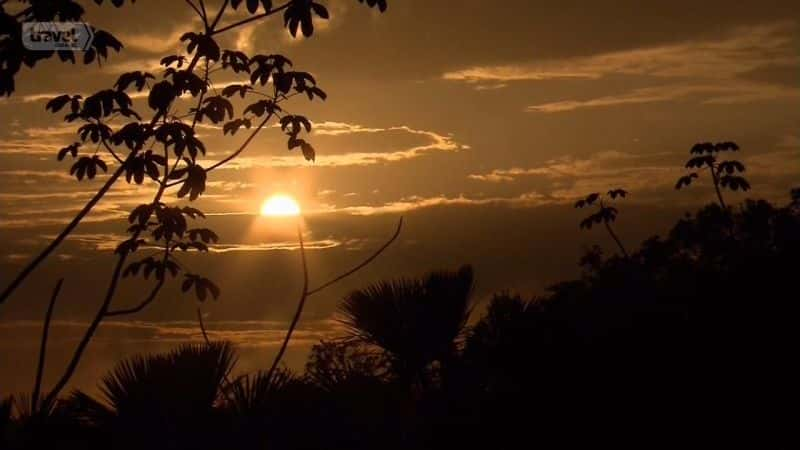 ¼ƬѲѷ Cruising the AmazonĻ/Ļ