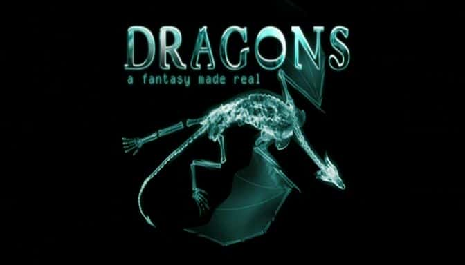 ¼Ƭ -  Dragons - A Fantasy Made RealĻ/Ļ