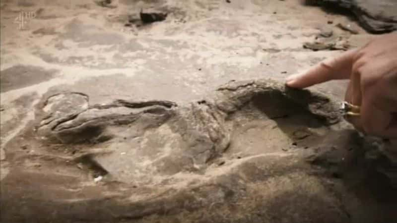 ¼Ƭ˳ʱӢ Britain at Low Tide720P-Ļ/Ļ