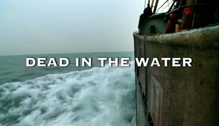 ¼Ƭˮ Death in the Waterȫ1-Ļ/Ļ