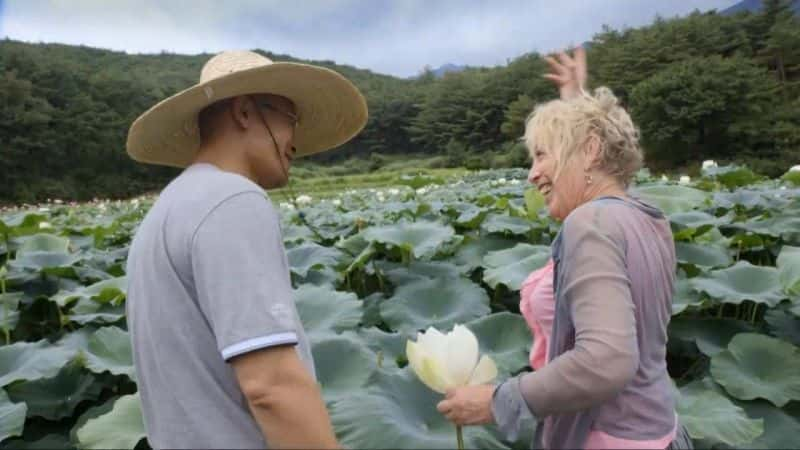 纪录片《卡罗尔·克莱因的《植物奥德赛》[无字][BT][720P]资源下载