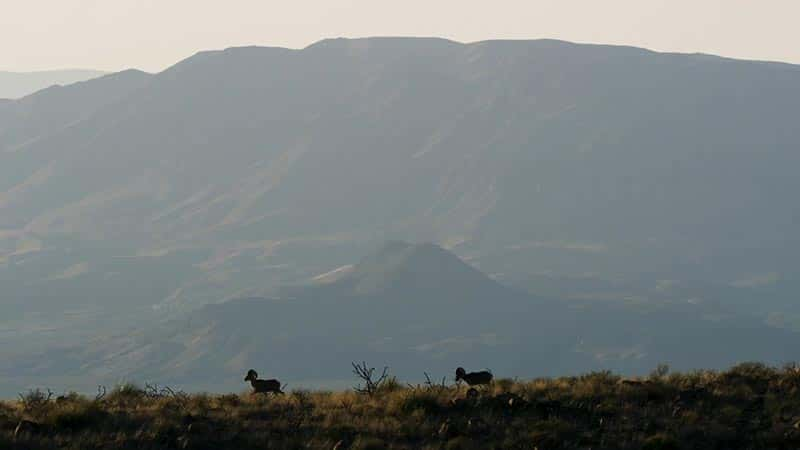 ¼Ƭ䣺¿˹ݵĿҰ߾ Big Bend: The Wild Frontier of Texas1080Pȫ1-Ļ/Ļ