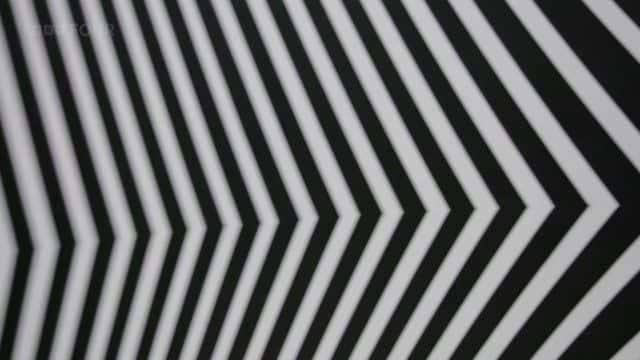 ¼Ƭء Bridget Riley: Painting the Line1080Pȫ1-Ļ/Ļ