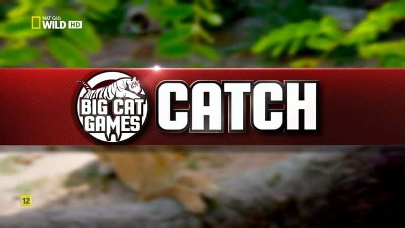 ¼ƬèϷ Big Cat GamesĻ/Ļ