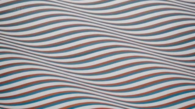 ¼Ƭء Bridget Riley: Painting the Line1080Pȫ1-Ļ/Ļ