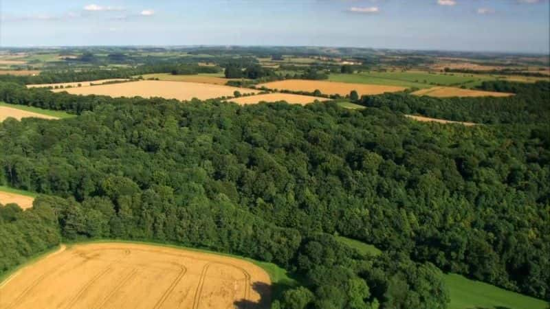 ¼Ƭ嵵ڵ䣨⣩ Countryfile: A Celebration of the Seasons (Blu-Ray)Ļ/Ļ