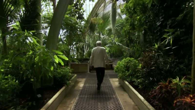 纪录片《邱园的克鲁克香克：改变世界的花园 (BBC) Cruickshank on Kew: The Garden That Changed the World (BBC)》[无字] [BT][DVD画质]资源下载