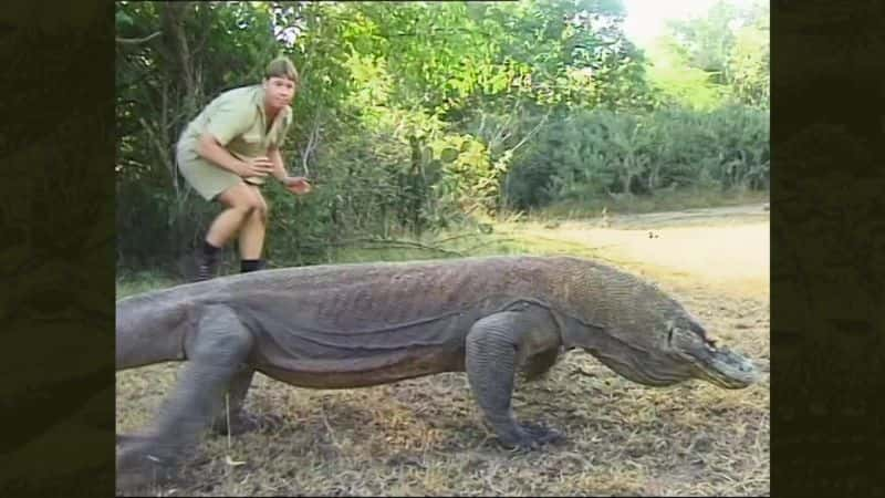 ¼Ƭ - ʷٷŷľѡ Crocodile Hunter - The Best of Steve Irwin1080P-Ļ/Ļ