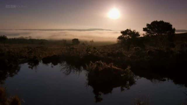 纪录片《黎明合唱团（BBC） Dawn Chorus (BBC)》[无字][BT][1080P]资源下载