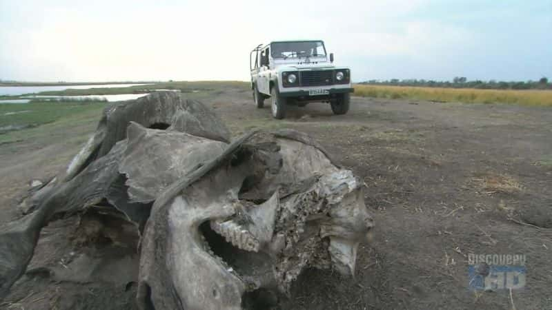 ¼Ƭɣ̽· Botswana: Exploring the Elephant HighwayĻ/Ļ