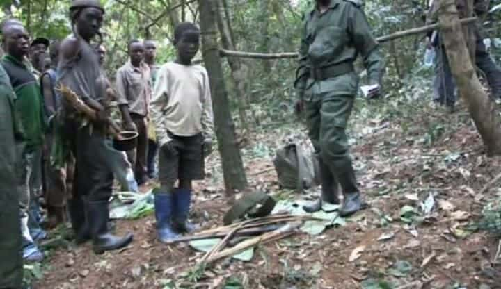 ¼Ƭչĺ Congo - The Children Who Came Back from the Deadȫ1-Ļ/Ļ