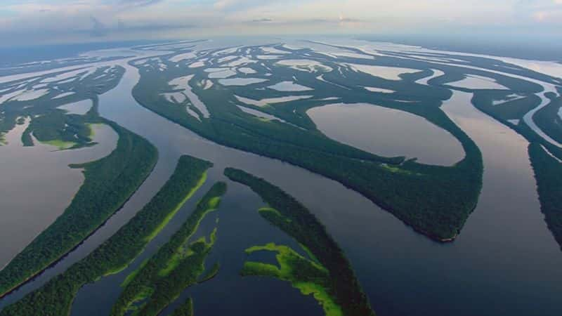 ¼Ƭ - Ȼʷ Brazil - A Natural History1080P-Ļ/Ļ