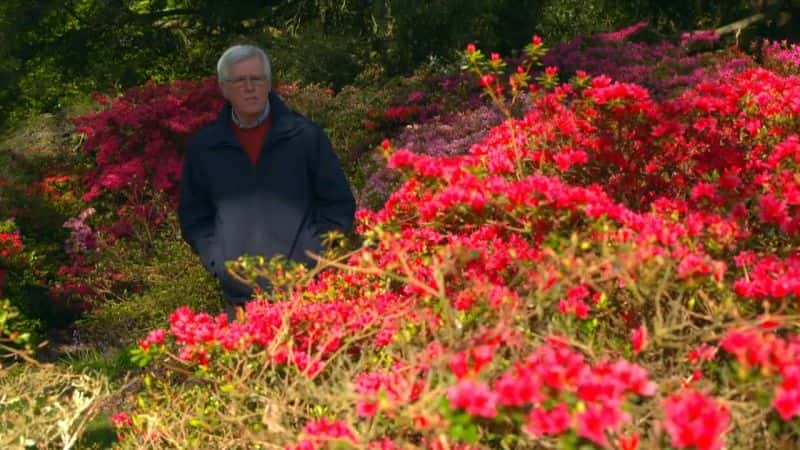 纪录片《乡村档案：春天日记 Countryfile: Spring Diaries》[无字][BT][1080P]资源下载