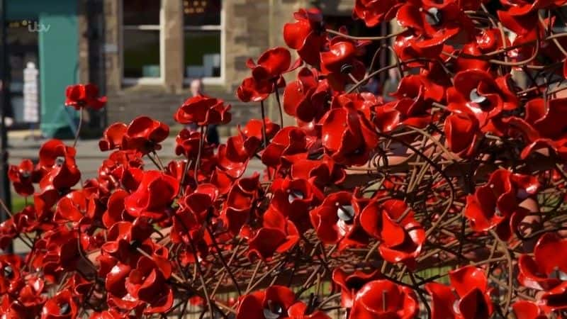 ¼ƬӢڻһս Britain's Poppies: The First World War Rememberedȫ1-Ļ/Ļ