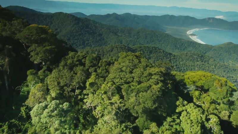 ¼Ƭ - Ȼʷ Brazil - A Natural History1080P-Ļ/Ļ