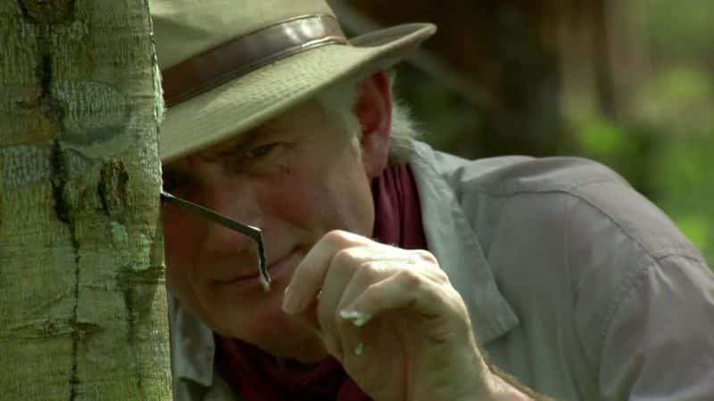 ¼Ƭ԰Ŀ³ˣıĻ԰ (BBC) Cruickshank on Kew: The Garden That Changed the World (BBC)1080Pȫ1-Ļ/Ļ