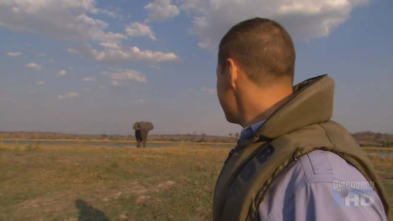 ¼Ƭɣ̽· Botswana: Exploring the Elephant HighwayĻ/Ļ