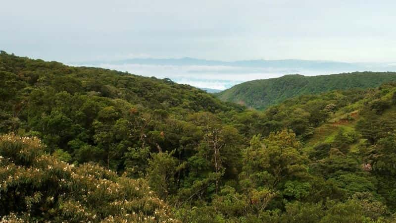 ¼Ƭ˹ӣɿ˹عҹ԰ Costa Rica: Guanacaste National Park1080P-Ļ/Ļ