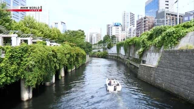 ¼ƬǱˮﴨ Dive in Tokyo: Kandagawaȫ1-Ļ/Ļ