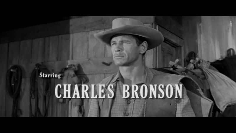 ¼Ƭ˹ɭĶ Charles Bronson: Hollywoods Lone WolfĻ/Ļ