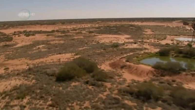 ¼ƬҰսеҰ Dingo: Wild Dogs at WarĻ/Ļ