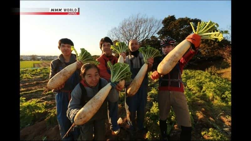 ¼Ƭгձϵ Cycle Around Japan: Shimanami Life on the Islandsȫ1-Ļ/Ļ