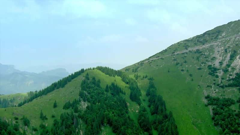 ¼Ƭʵÿһɽ֮Ĺ (BBC) Climbed Every Mountain: The Story Behind The Sound of Music (BBC)ȫ1-Ļ/Ļ