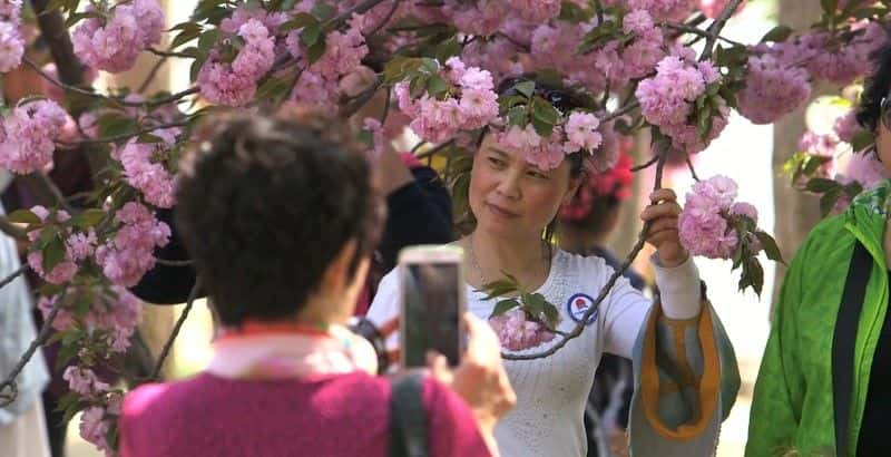 ¼Ƭйƻ China's Family Planning Armyȫ1-Ļ/Ļ