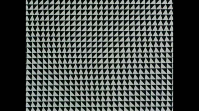 ¼Ƭء Bridget Riley: Painting the Line1080Pȫ1-Ļ/Ļ