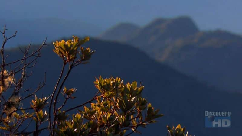 ¼Ƭɽ Dawn of Cerro de La MuerteĻ/Ļ