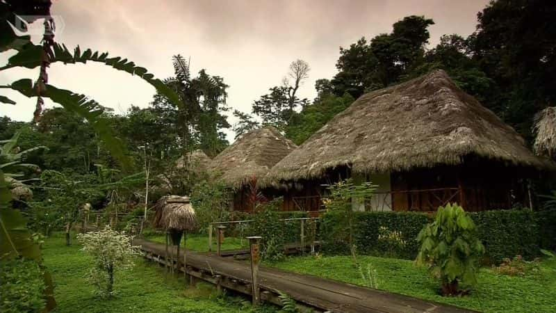 ¼ƬѲѷ Cruising the AmazonĻ/Ļ