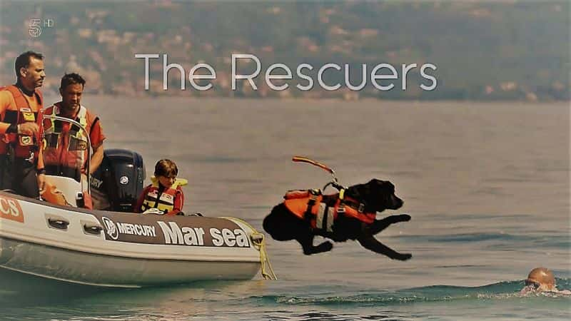 ¼ƬŷǷĹϵ 1  1  - Ԯ Dogs with Extraordinary Jobs: Series 1 Part 1-The Rescuers1080P-Ļ/Ļ