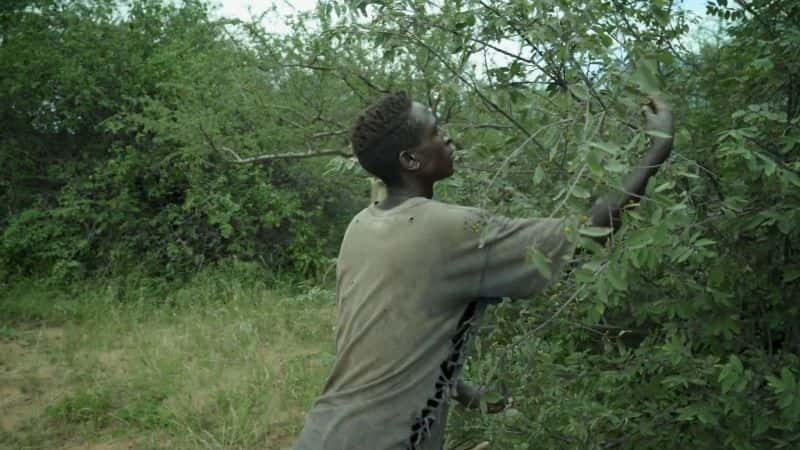 ¼Ƭڣĳɳ Bright Now: Growing up Hadza1080P-Ļ/Ļ