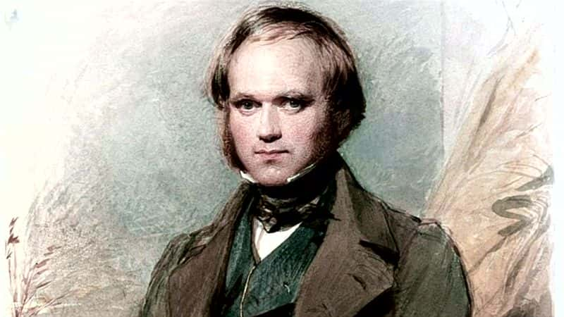 ¼Ƭģʿ˺ı Darwin: The Welshman and the Conspiracy1080P-Ļ/Ļ