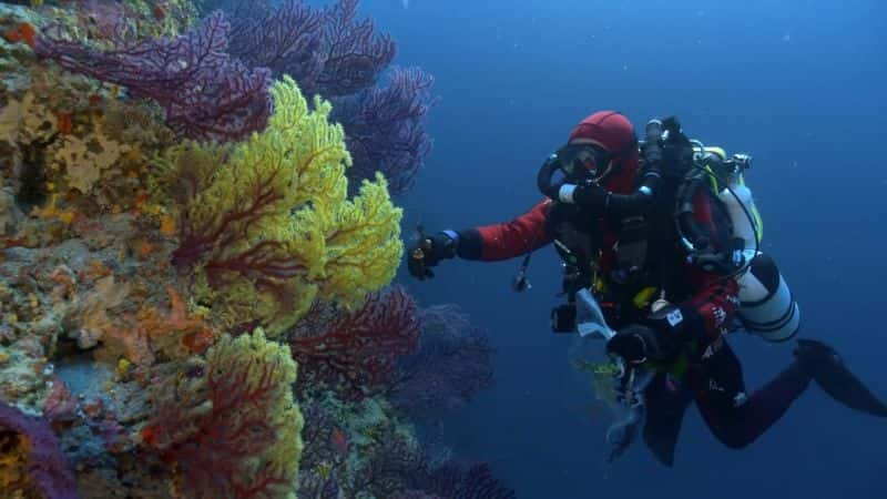 ¼Ƭҽѧ The Deep Med1080P-Ļ/Ļ