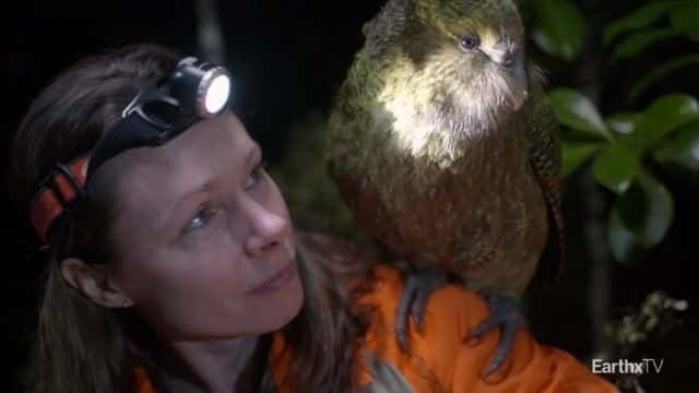 ¼Ƭ^ Deidre and the Kakapo1080Pȫ1-Ļ/Ļ