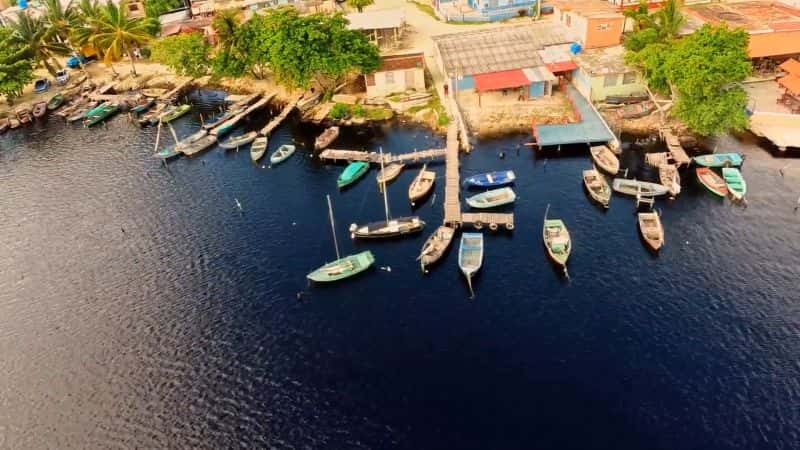 ¼ƬŰͣ Cuba: A Paradise on the Brink1080P-Ļ/Ļ